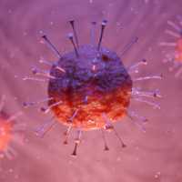 2 WNI Pulang dari London Terkonfirmasi Positif Varian Omicron