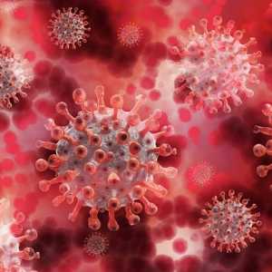 Kasus Covid di RI Tembus 1.200 Kasus Lagi, DKI Jakart Sumbang 730