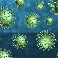 Nasib PPKM Level 4 Ditentukan Hari Ini, Cek Perkembangan Pandemi Covid-19