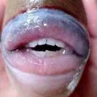 Viral Ikan Langka Bergigi Manusia Ditangkap Nelayan di AS