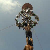 Kisah Pilu di Balik Lomba Panjat Pinang HUT Indonesia