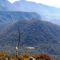 Misteri Pendaki Tersesat di Pasar Jin Gunung Bawakaraeng