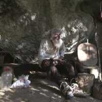 Takut Tertular Covid, Manusia Gua Ini Keluar dan Minta Divaksin