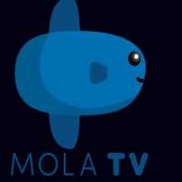 Live Streaming Error Saat Man United vs Man City, Ini Tanggapan Mola TV