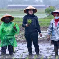 Susi Pudjiastuti Sindir Puan Maharani Tanam Padi Saat Hujan