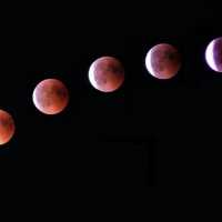 Gerhana Bulan Sebagian 19 November 2021, Ini Tata Cara Sholat Gerhana