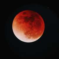 Jangan Lewatkan Gerhana Bulan Sebagian Hari Ini, Catat Waktu dan Cara Melihatnya