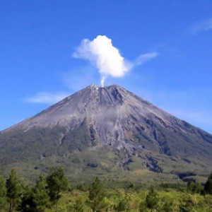 Gunung Semeru 119 Kali Meletus Dalam 24 Jam Terakhir