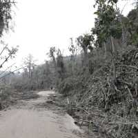 Update Erupsi Gunung Semeru: 39 Meninggal, 13 Hilang, 6.022 Warga Mengungsi