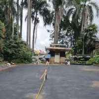 Begini Kronologi Mobil Isyana PSI Jeblos ke Sumur Resapan di Bona Indah