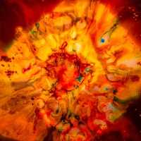 Ledakan Maut di Pandeglang: 1 Warga Tewas dan 1 Rumah Hancur, Ini Kronologinya