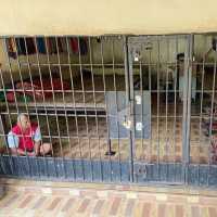 7 Temuan LPSK Kerangkeng di Rumah Bupati Langkat: Disuruh Bayar, Ada yang Meninggal