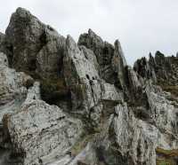 Menguak Batu Andesit, Harta Karun yang Picu Polemik di Desa Wadas