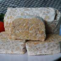 Mahasiswa UNY Temukan Inovasi Tempe Bahan Biji Karet, Begini Cara Membuatnya