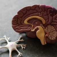 Mengenal Terapi Cuci Otak yang Bikin Dokter Terawan Berpolemik dengan IDI