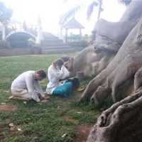 Usai Dimarahi Gubernur Bali, WN Rusia yang Bugil di Pohon Keramat Diusir dari RI