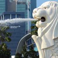 1.000 WNI Bertalenta Tinggi Pilih Jadi WN Singapura, Ternyata Ini Alasannya