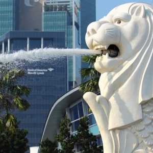 Ustaz Abdul Somad Unggah Gambar Singa: Senang Saat Tikus Rp Masuk, Muntah Gegara Ini