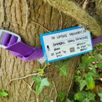 Pencarian Eril di Swiss Bakal Terkendala Hujan Badai