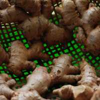 6 Khasiat Jahe Bagi Kesehatan, tapi Simak Juga Efek Sampingnya