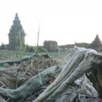 Puncak Dieng Membeku, Candi Arjuna Diselimuti Es