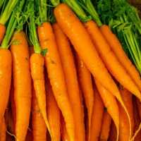 Tak Hanya Bikin Sehat Mata, Ini 9 Manfaat Konsumsi Wortel