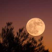 Fenomena Bulan Purnama Rusa Super Hiasi Langit Indonesia Malam Ini, Catat Waktunya