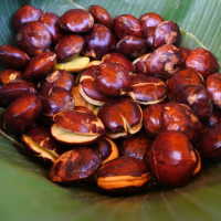 5 Cara Memasak Jengkol Agar Empuk dan Tidak Bau