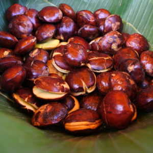 5 Cara Memasak Jengkol Agar Empuk dan Tidak Bau