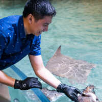 Liburan ke Jakarta Aquarium: Harga Tiket Hingga Serunya Interaksi dengan Hewan Laut