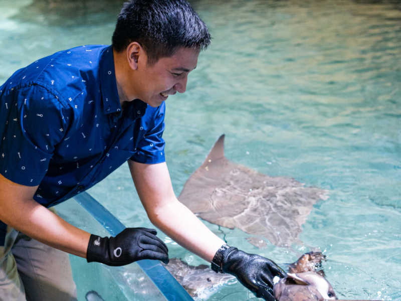     Jakarta Aquarium Safari