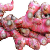 11 Manfaat Jahe Merah Campur Madu: Baik Untuk Diet dan Kesuburan Pria