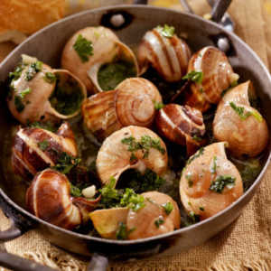 Escargot Kuliner Berbahan Bekicot yang Kaya Kandungan Gizi, Ini Manfaatnya