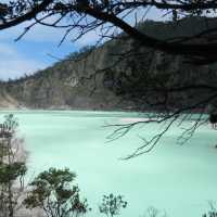 Tak Hanya Kawah Putih, Ini 7 Kawasan Wisata di Ciwidey Incaran Wisatawan
