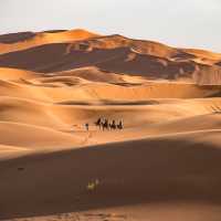 4 Fenomena Unik Gurun Sahara: Pernah Diselimuti Hutan dan Salju