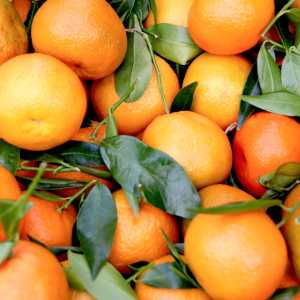 5 Tips Memilih Jeruk yang Manis