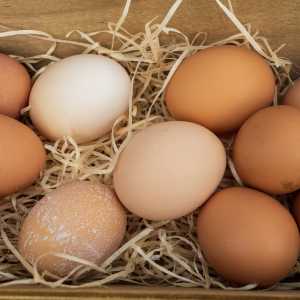 Harga Telur Ayam Tembus Rp41 Ribu per Kg, Ini Penyebabnya