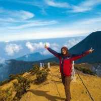 Jalur Pendakian Gunung Pangrango Kembali Dibuka, Simak Syarat dan Harga Tiketnya