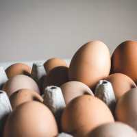 5 Cara Mudah Cek Telur Masih Segar Atau Sudah Busuk