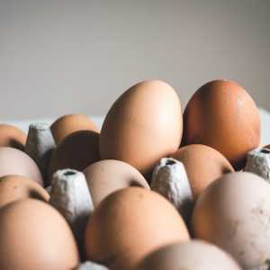 5 Cara Mudah Cek Telur Masih Segar Atau Sudah Busuk