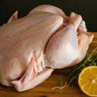 Kadar Kolesterol dalam Tiap Potongan Daging Ayam, Ini Bagian yang Paling Tinggi