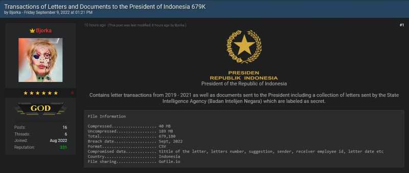     Bocoran dokumen rahasia ke Presiden Jokowi dari BIN dibongkar Bjorka