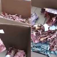 BI Ganti Uang Tabungan Haji Pak Samin yang Dimakan Rayap, tapi Cuma Rp20 Juta