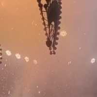 VIDEO: Detik-detik Kubah Masjid Jakarta Islamic Center Runtuh Saat Terbakar