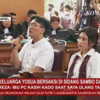 Pengacara Sambo Cecar Soal 2 Teman Wanita Brigadir J ke Adik Yosua