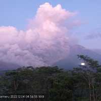 Gunung Semeru Meletus