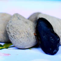 Biasa Dipakai untuk Buat Rawon, Ini Manfaat Kluwek: Hindari Kanker Hingga Hipertensi