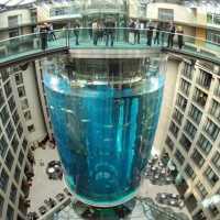 Akuarium Raksasa Jerman Pecah, 1.500 Ikan Eksotis Berhamburan