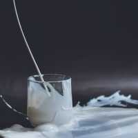 Susu Beruang Bisa Bersihkan Paru-paru Perokok, Mitos atau Fakta?