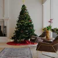 Sejarah Pohon Cemara Digunakan Sebagai Pohon Natal